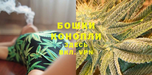 ПСИЛОЦИБИНОВЫЕ ГРИБЫ Богородицк