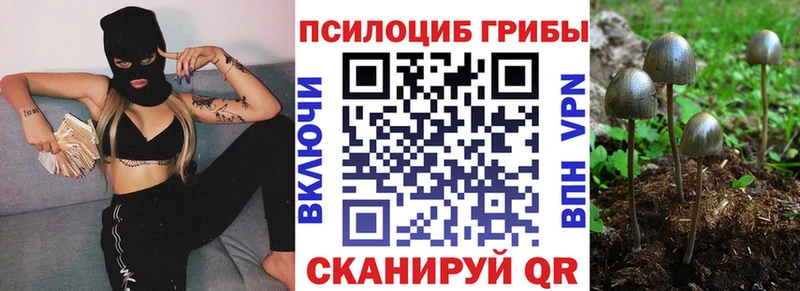 Галлюциногенные грибы GOLDEN TEACHER  где купить наркотик  мега сайт  Верхотурье 
